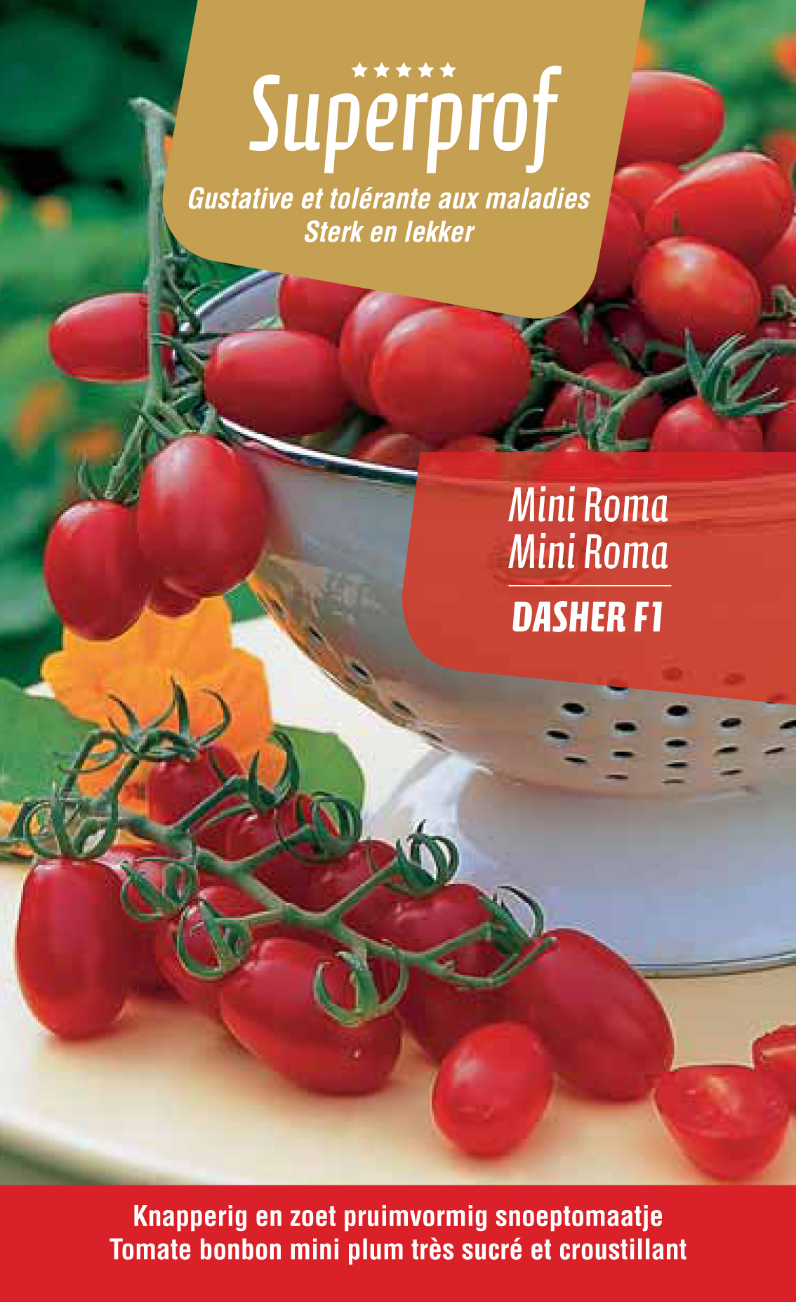 Tomaat Mini-Roma (tray 8 pot)